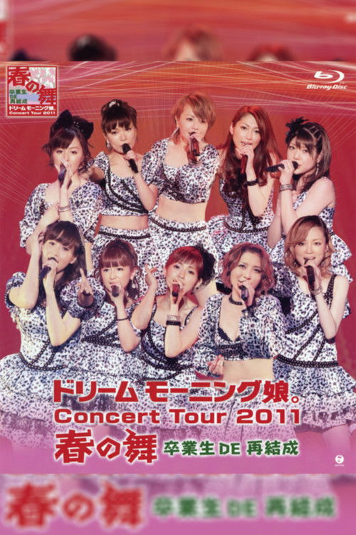 Dream Morning Musume. Concert Tour 2011 Haru no Mai ~Sotsugyousei DE Saikessei~ (2011) poster