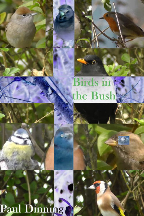 Birds in the Bush (2024) poster