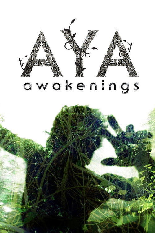 Aya: Awakenings (2013) poster
