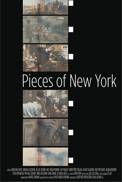 Pieces of New York (2018) poster