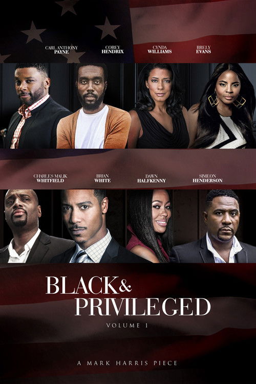 Black & Privileged: Volume 1 (2019) poster