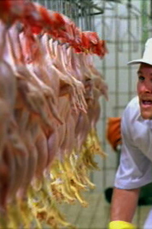 Porcos Corpos (2003) poster