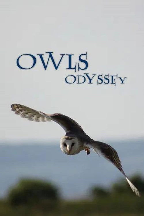 Owl's Odyssey (2013) poster