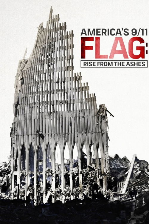 America’s 9/11 Flag: Rise From the Ashes (2016) poster