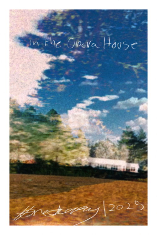 In the Opera House poster