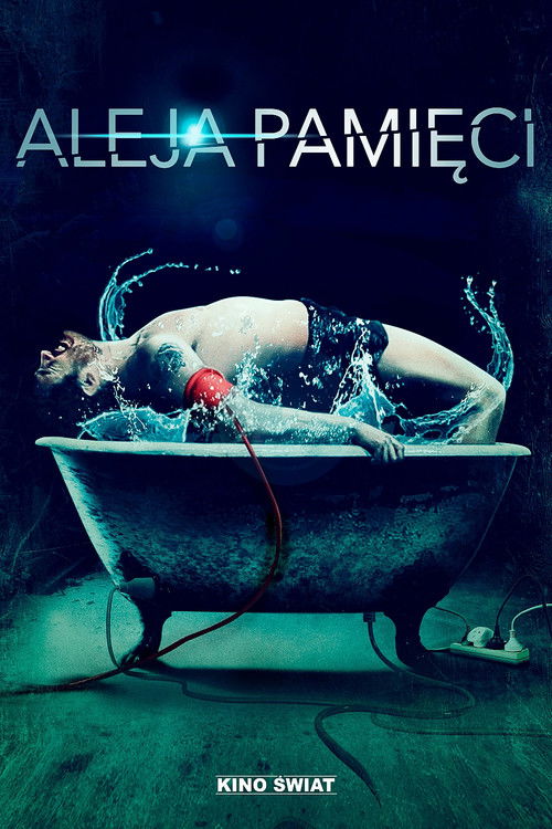 Memory Lane (2011) poster