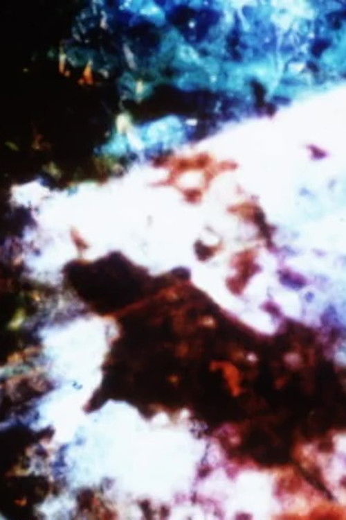 Quiet Chaos of Desire (2007) poster