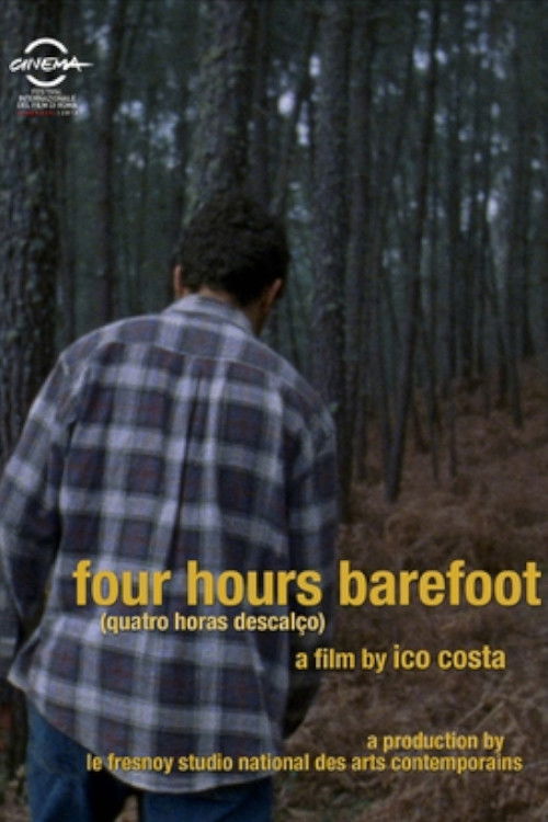 Four Hours Barefoot (2012) poster