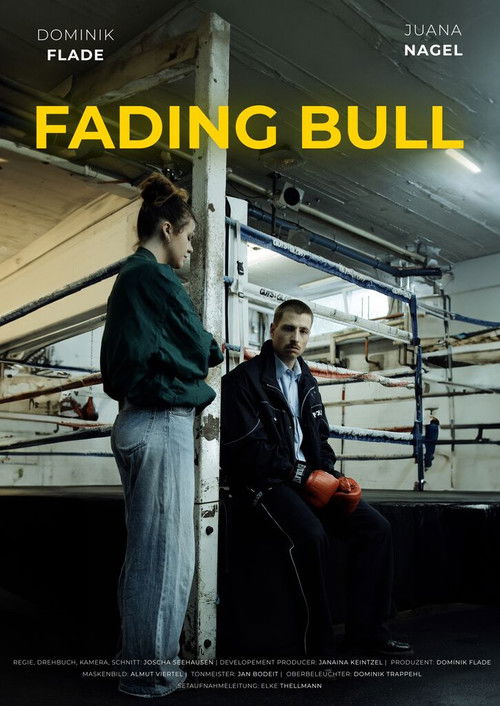 Fading Bull (2024) poster