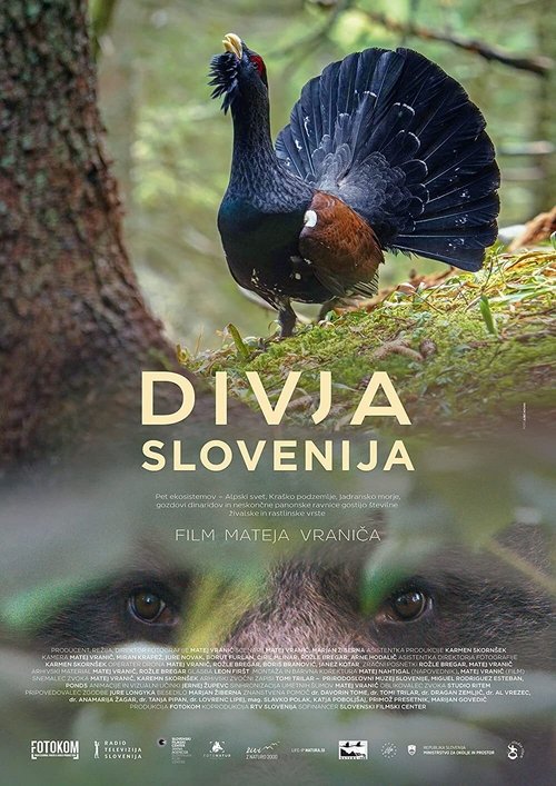 Wild Slovenia (2021) poster
