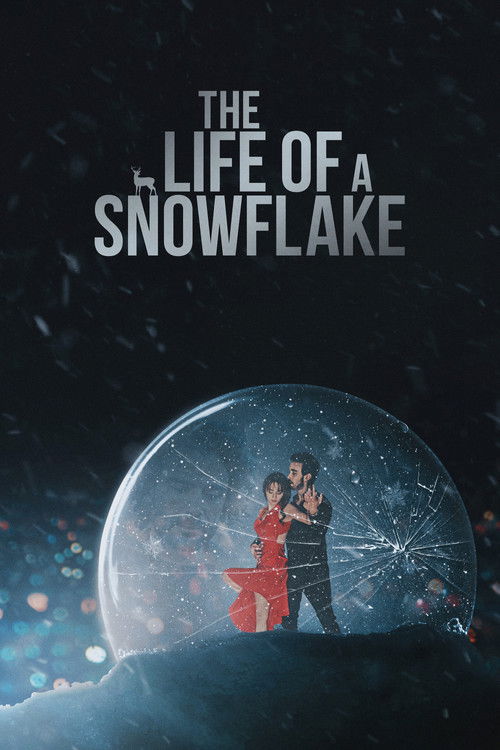 The Life of a Snowflake (2022) poster