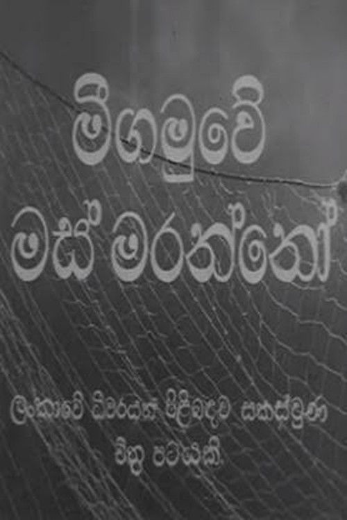 මීගමුවේ මස් මරන්නෝ (1952) poster