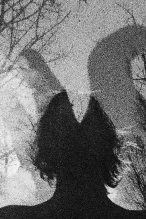 In An Effort To Redefine Myself I Am Left Staring Into Unsolveable Air (2022) poster