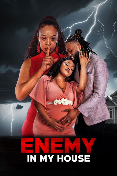 Enemy in My House (2026) poster