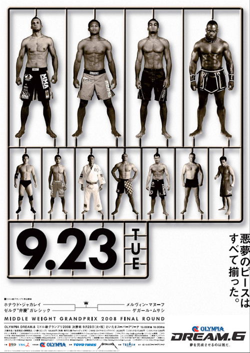 DREAM 6 (2008) poster