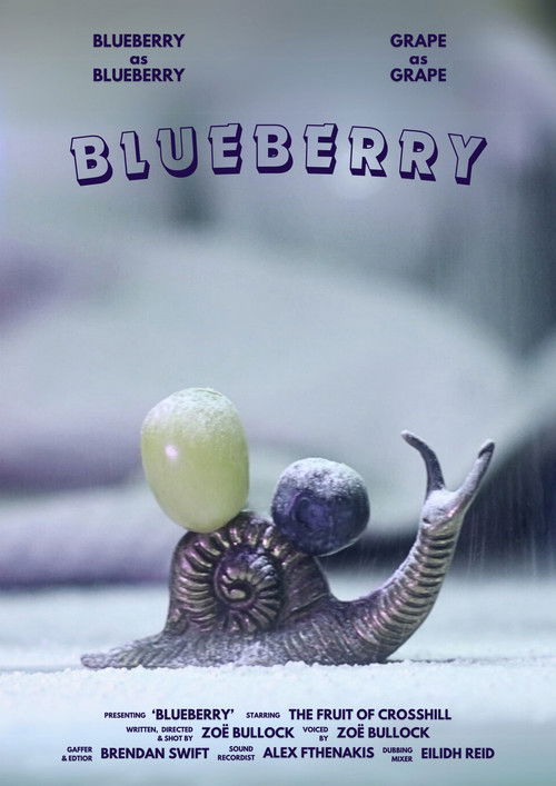 Blueberry poster