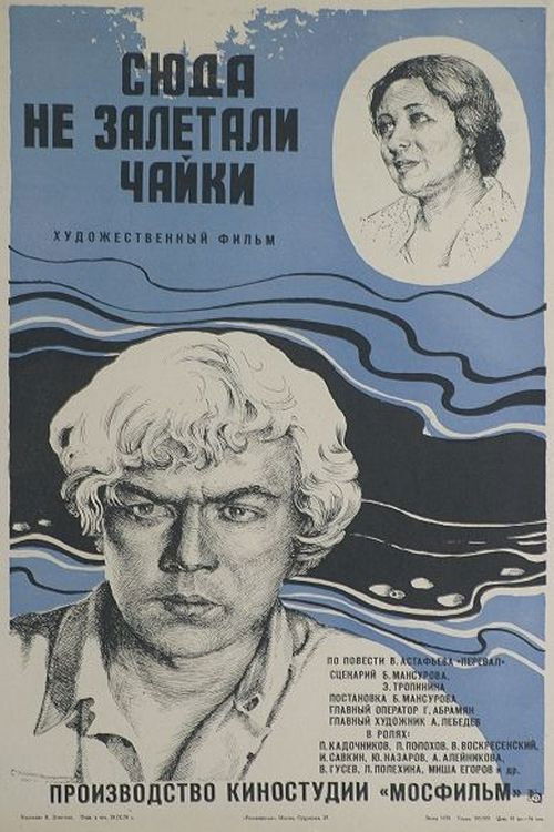 Сюда не залетали чайки (1978) poster