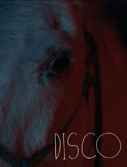 Disco (2026) poster