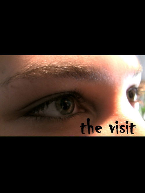 Poseta (2008) poster