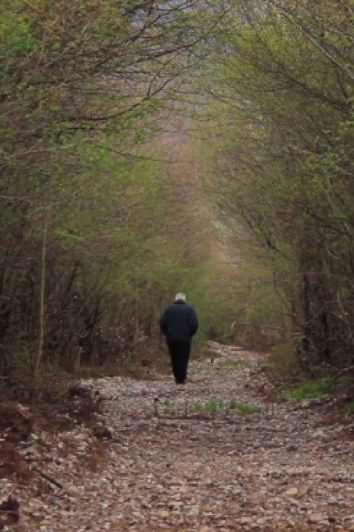 Branches and Roots (2014) poster