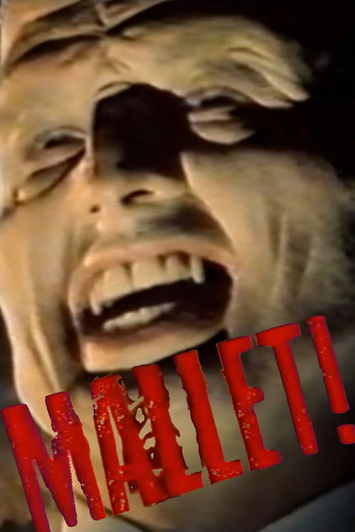 Mallet! (1987) poster