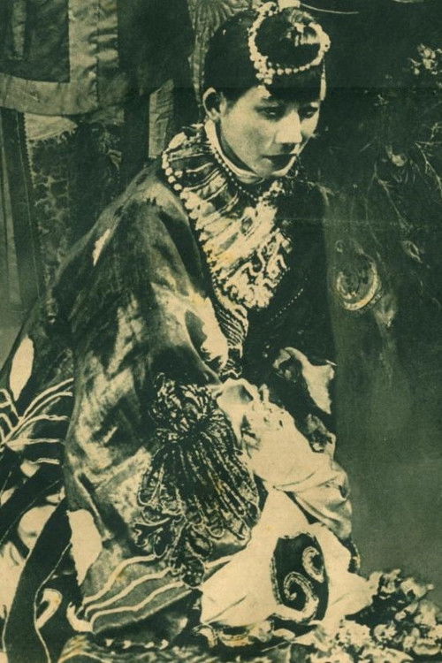 The Veil of Happiness (1923) poster