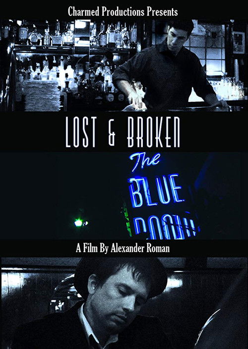 Lost & Broken (2013) poster