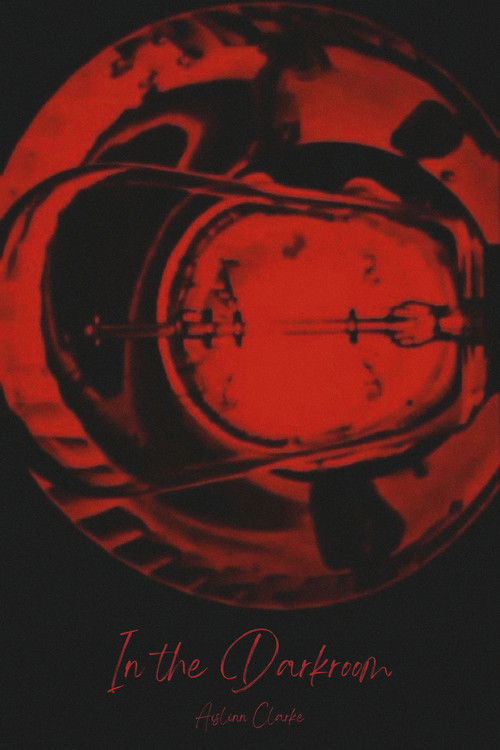 In the Darkroom (2013) poster