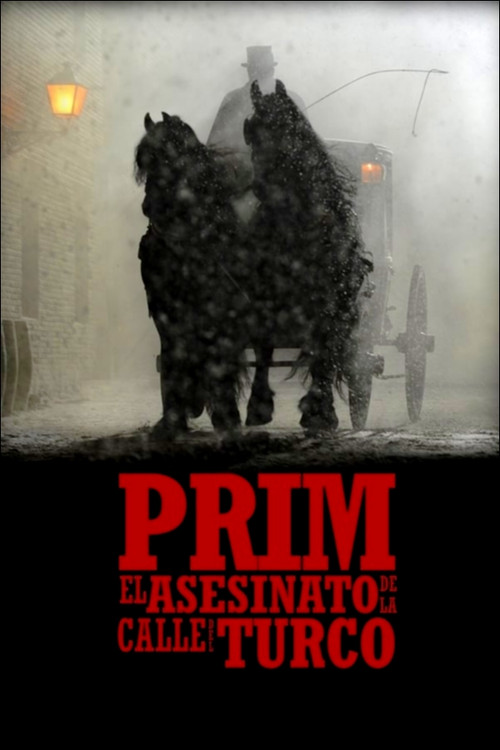 Prim: el asesinato de la calle del Turco (2014) poster