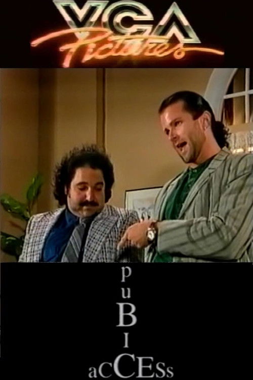 Pubic Access (1995) poster