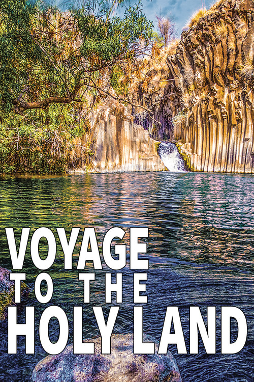 Voyage to the Holy Land (2018) poster