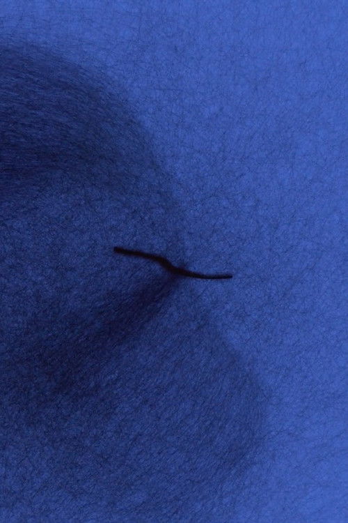 Bionic_Dread (2019) poster