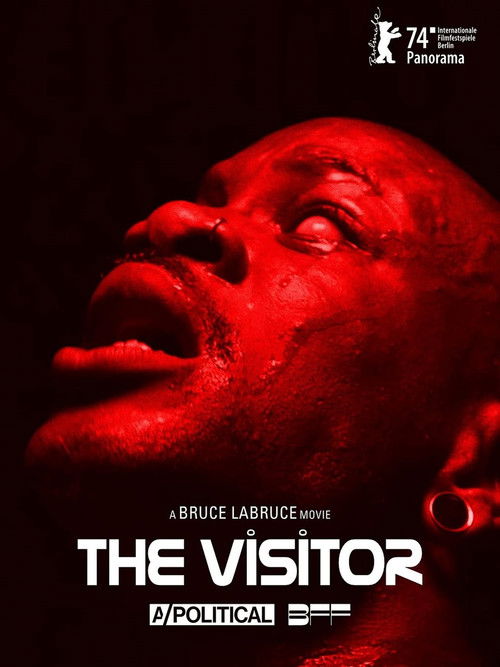 The Visitor (2024) poster