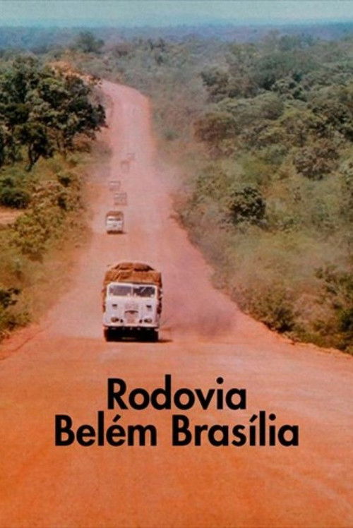 Rodovia Belém - Brasília (1973) poster