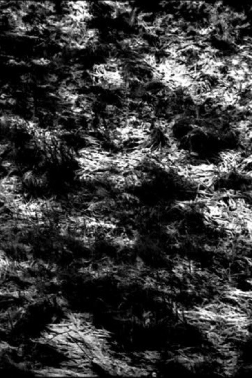 Covideodrone (2020) poster