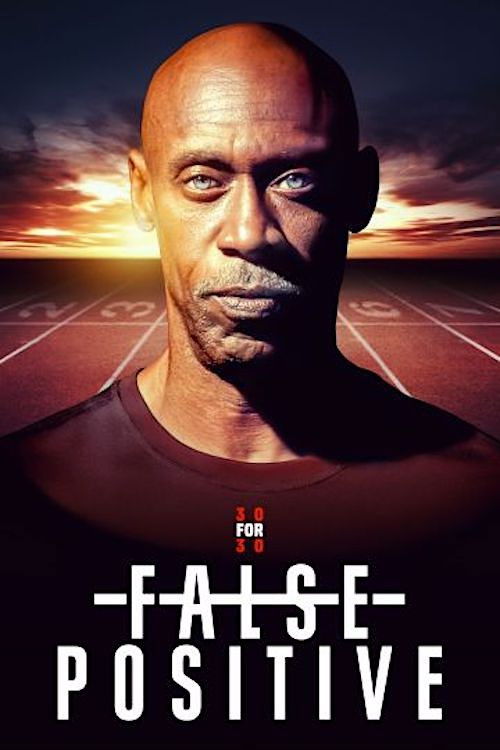 False Positive (2024) poster