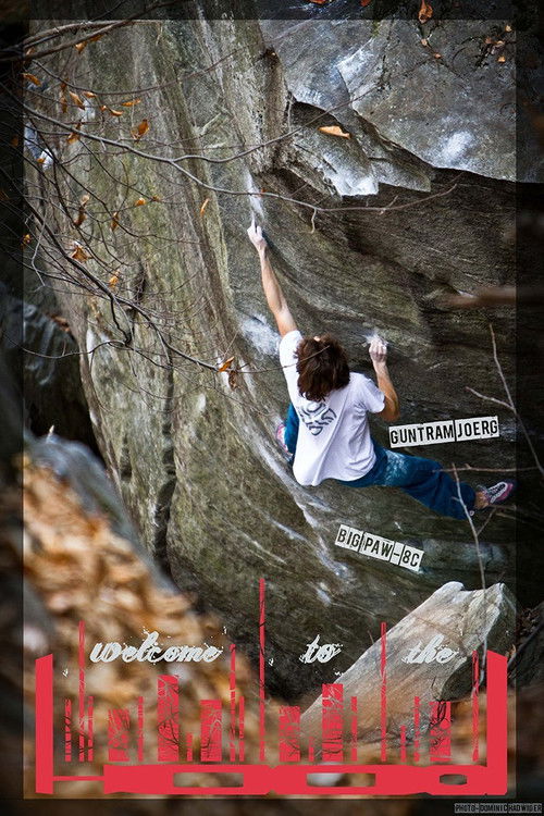 Welcome to the Hood (2012) poster