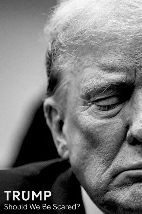 Trump: Should We Be Scared? (2024) poster