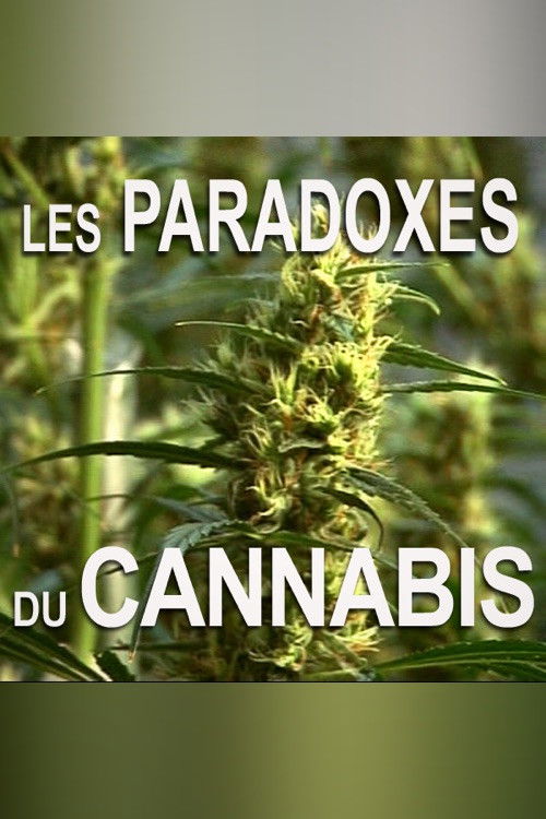 Les paradoxes du cannabis (2009) poster