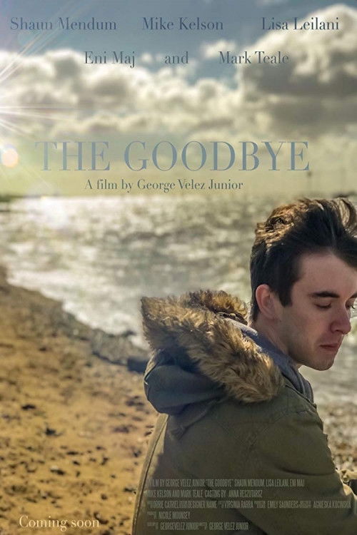 The Goodbye (2018) poster