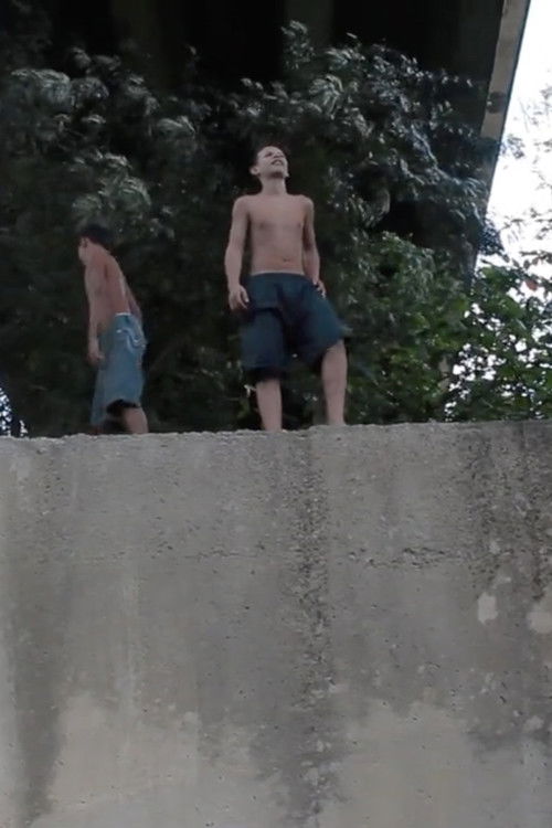 La Cueva Negra (2012) poster