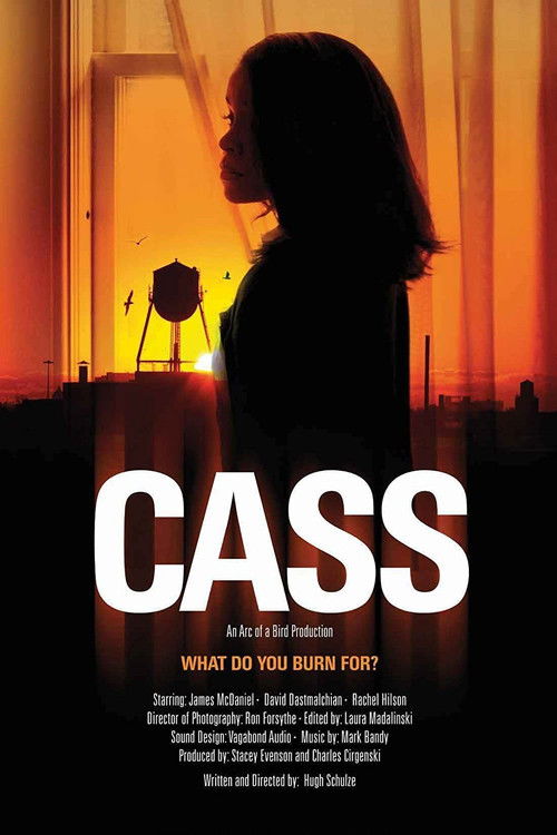 Cass (2013) poster