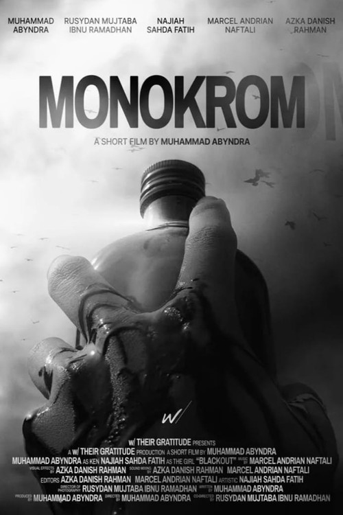Monochrome (2022) poster