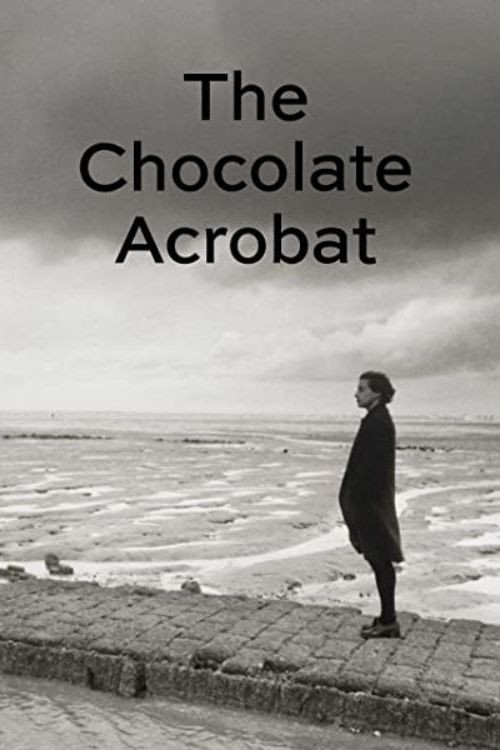 The Chocolate Acrobat (1995) poster