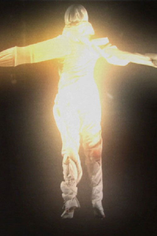 Fight or Flight (2011) poster