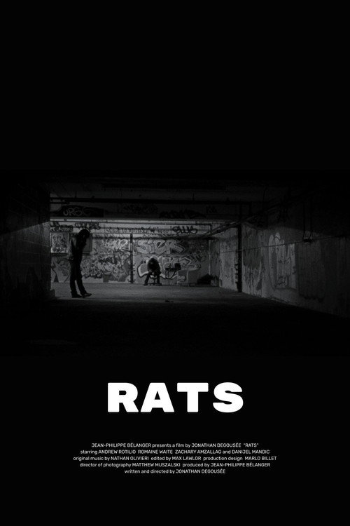 Rats (2013) poster