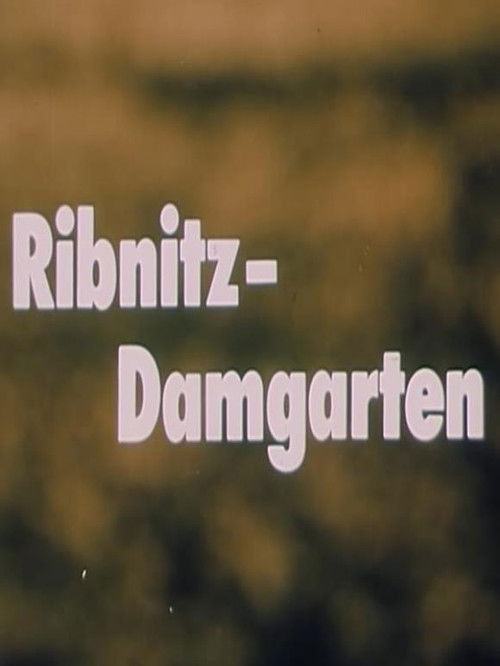 Ribnitz-Damgarten (1989) poster