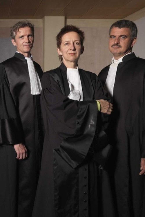 De Vreemdelingenrechter (2008) poster