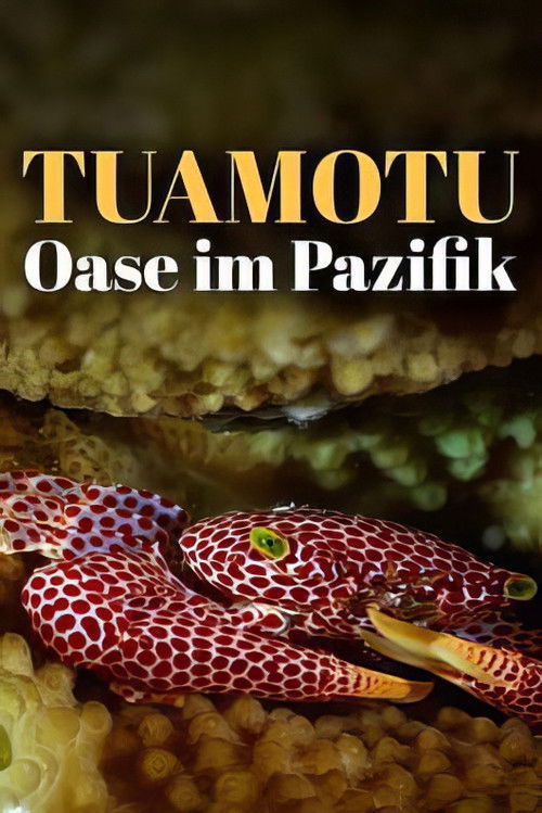 L'oasis de corail des Tuamotu (2025) poster