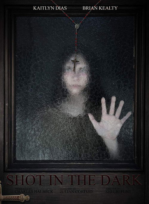 Shot in the Dark (2018) poster